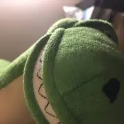 シズクの画像