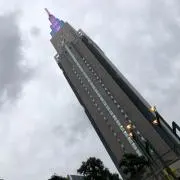 まゆどん