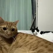 りおんとめ
