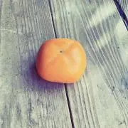 ザックの画像