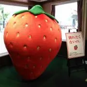 トミー☆★