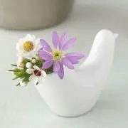 断捨離中★aroma-⭐︎⭐︎⭐︎の画像