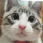りん
