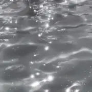 みみの画像