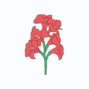 SHIORIの画像
