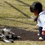 たまの画像