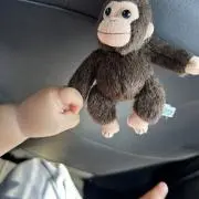 あやたかの画像