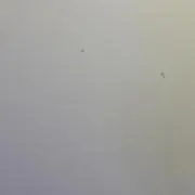 ★*゜