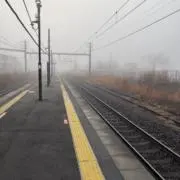 fukumaruの画像