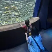 輝の画像