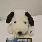 sun_alomaの画像