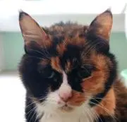 mimissuの画像