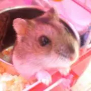 く る み  ❤️