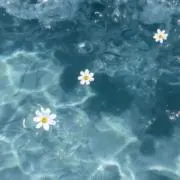 Sanaの画像