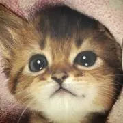み
