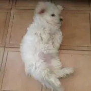あねっちゃ[断捨離中！！]の画像