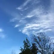 空　プロフ確認願います