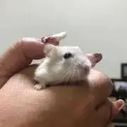 あおの画像