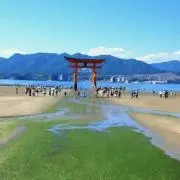 かば