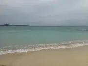 makoの画像