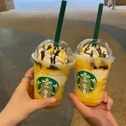 スタバっ子の画像