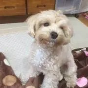 ノリ