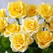 Lily✨即購入オッケー！