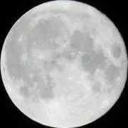 mon-iiiの画像