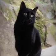 まるおの画像