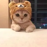 【コメント無しOK】きたむらの画像