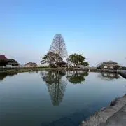 なおの画像