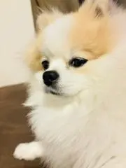 tkmgの画像