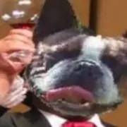 田中 たかし