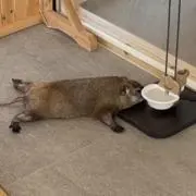 ^_^
