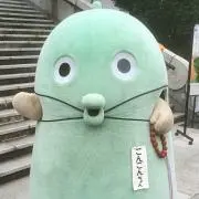 こぐまの画像