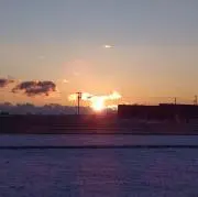 ユニの画像