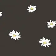 mの画像