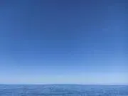 タカの画像