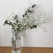 Yukaの画像