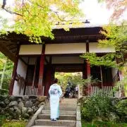 ここあの画像