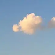 rの画像