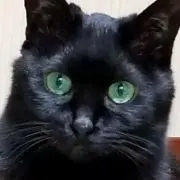 makironの画像