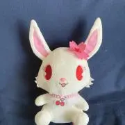Aki 即購入OKですの画像