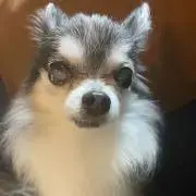 くぅ～
