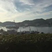 お茶