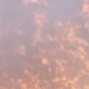 maiの画像