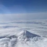 ホーリー