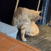 水谷の画像