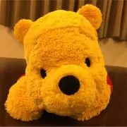 Ryocoの画像