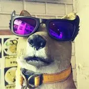 まーの画像
